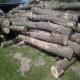images/hout/20160506_151556.jpg